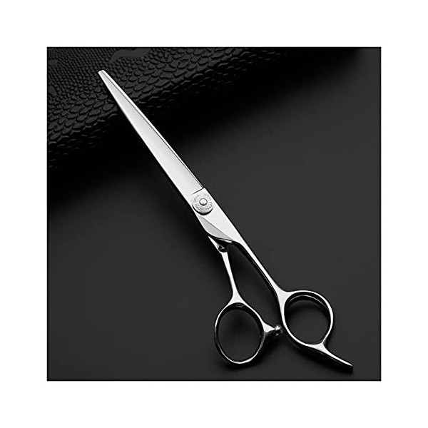 Générique Ciseaux de Coiffeur de 6,5 Pouces, Ciseaux de Coiffeur Professionnels, Ciseaux de Coiffure, Ciseaux Plats, Ciseaux 