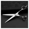 Générique Ciseaux de Coiffeur de 6,5 Pouces, Ciseaux de Coiffeur Professionnels, Ciseaux de Coiffure, Ciseaux Plats, Ciseaux 