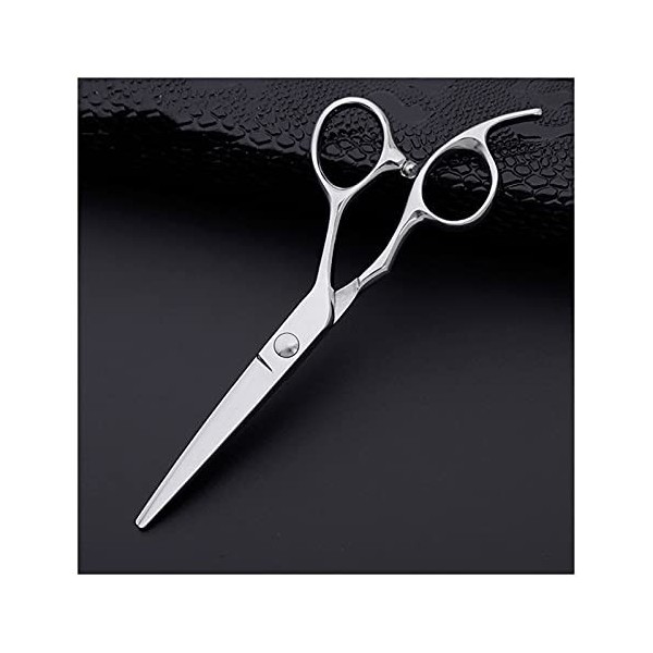 Générique Ciseaux de Coiffeur de 5,5 Pouces, Ciseaux de Coiffeur Professionnels, Ciseaux de Coiffure, Ciseaux Plats, Ciseaux 