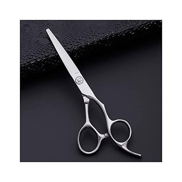 Générique Ciseaux de Coiffeur de 5,5 Pouces, Ciseaux de Coiffeur Professionnels, Ciseaux de Coiffure, Ciseaux Plats, Ciseaux 