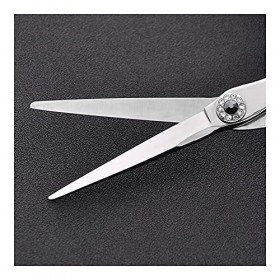 Lame de forme spéciale de 6,0 pouces, ciseaux de barbier spéciaux, ciseaux plats Rasage et Épilation