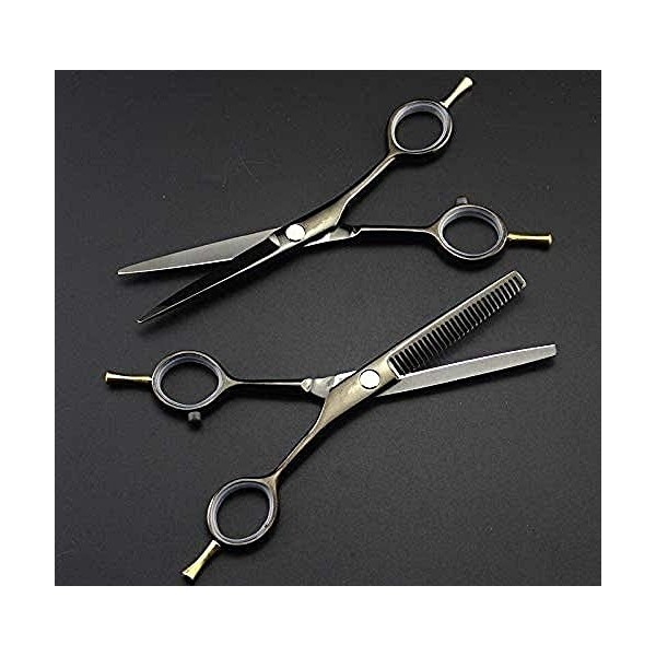 Ciseaux professionnels à deux queues de 5,5 pouces ciseaux à cheveux amincissants noirs ensemble cisailles ciseaux de coiffur
