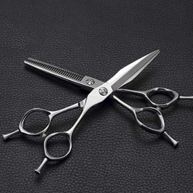 Ciseaux de coupe de cheveux, cisailles à cheveux professionnellesCiseaux de coiffure professionnels de 6 pouces, ciseaux de c