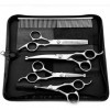 Ciseaux de coiffeur Outils de coupe de cheveux Ensemble de ciseaux de coiffure pour animaux de compagnie en argent