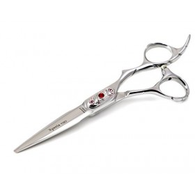 Cheveux Professionnel Ciseaux de coupe, Xperia V210&nbsp;Pierre, HITACHI en acier, étui de présentation