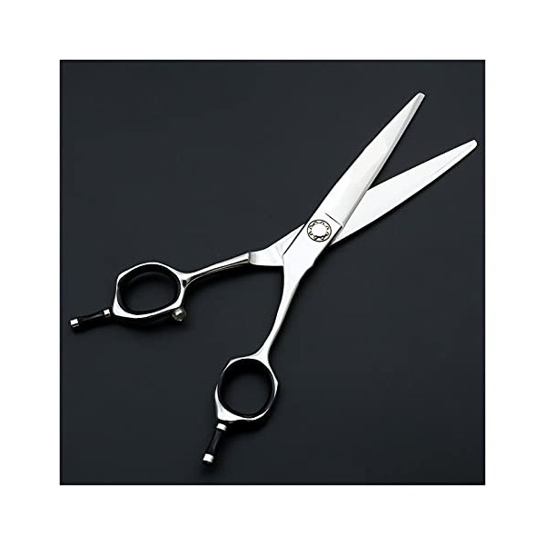 Ciseaux de coupe de cheveux professionnels en acier inoxydable 440C, 6 pouces, pour Salon de coiffure, ciseaux de coupe de ch