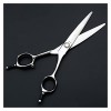 Ciseaux de coupe de cheveux professionnels en acier inoxydable 440C, 6 pouces, pour Salon de coiffure, ciseaux de coupe de ch