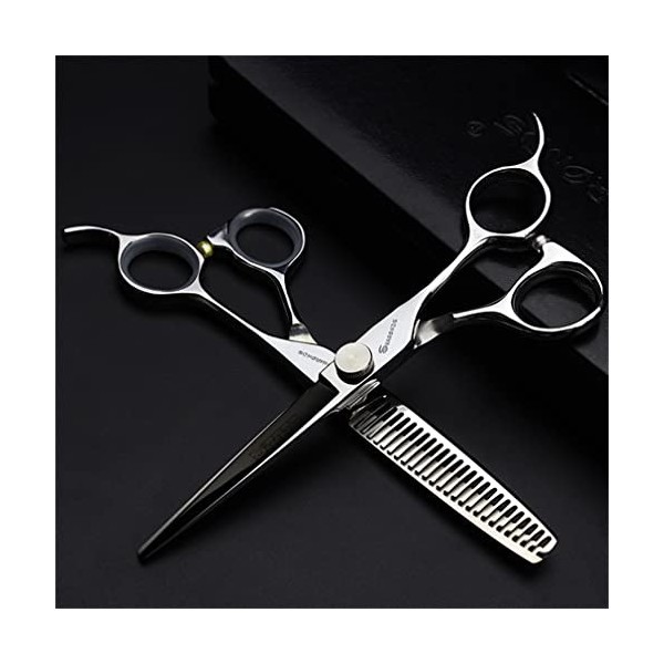 KOAIEZ Ensemble De Coupe De Coupes De Coupe De Coupe en Argent De 6,0 Pouces, Outils De Ciseaux De Coiffure en Acier Inoxydab