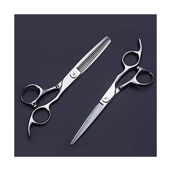 Ciseaux de coiffeur Ciseaux de coupe de cheveux haut de gamme Ciseaux de coiffure Ciseaux professionnels de coiffeur de 6 pou