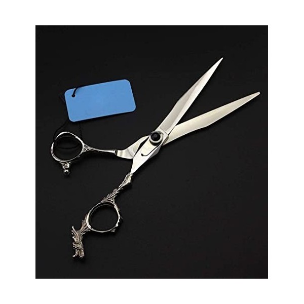 Ciseaux de coiffeur New Professional 440C Ciseaux de coiffure de 7 pouces Ciseaux de coiffeur Ciseaux de coiffure avec étui e