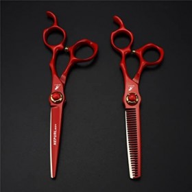 Ensembles De Ciseaux De Coupe De Cheveux Professionnels De 6,0 Pouces, Coiffure En Acier Inoxydable Cisaillement En Acier Ino