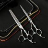 Ciseaux De Coiffure Coiffeur Professionnel Set 6.0 Pouces Plat Dents De Coupe De Cheveux Ciseaux Ciseaux À Effiler Salon De H