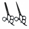 Ciseaux de coiffure Professional Premium personnalité Noir 6.0 pouces poignée tournante Set 440C Styliste Barber Scissor Text