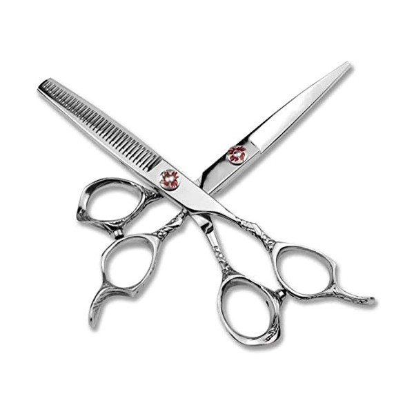 Ciseaux De Coiffeur Ciseaux De Coiffure Professionnels Argent 6 Pouces Ciseaux À Feuille De Saule Simple Lame Simple Double L