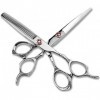 Ciseaux De Coiffeur Ciseaux De Coiffure Professionnels Argent 6 Pouces Ciseaux À Feuille De Saule Simple Lame Simple Double L