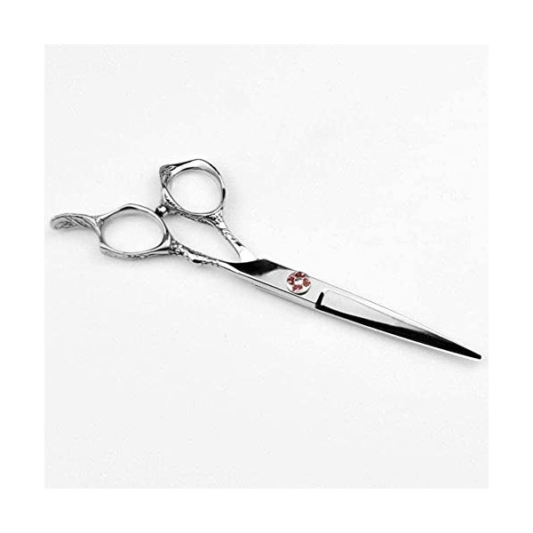 Ciseaux De Coiffeur Ciseaux De Coiffure Professionnels Argent 6 Pouces Ciseaux À Feuille De Saule Simple Lame Simple Double L