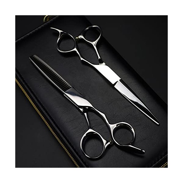 ciseaux de coiffeur Ciseaux de coupe de cheveux, 6 pouces professionnel Japon 440c acier haut de gamme argent ciseaux de chev