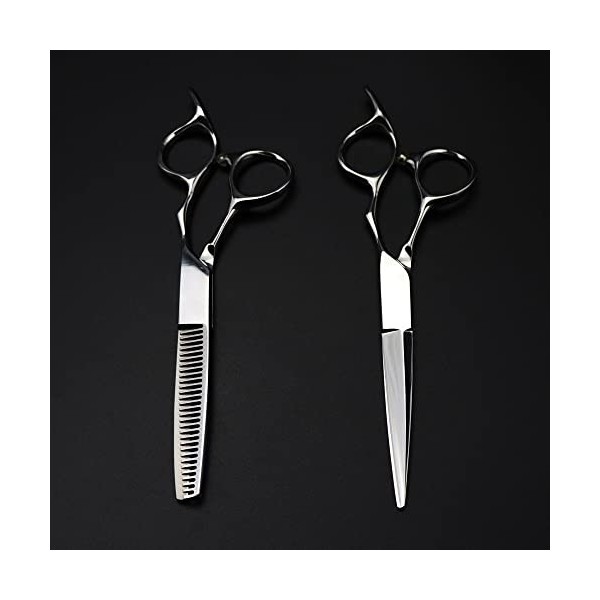 ciseaux de coiffeur Ciseaux de coupe de cheveux, 6 pouces professionnel Japon 440c acier haut de gamme argent ciseaux de chev