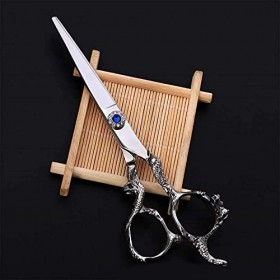 JINJIA Ciseaux de Coiffeur Haut de Gamme Ciseaux de Coiffeur Ciseaux Plats Ciseaux à Dents, Coupe dent6 Pouces