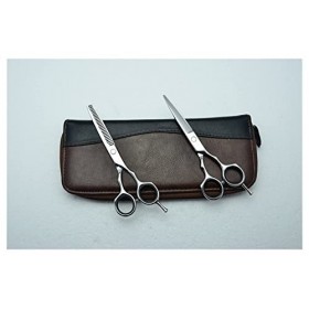 Ciseaux de coupe de cheveux, Ciseaux à cheveux professionnels Ciseaux de coiffure de couleur argentée Ciseaux de coupe Ciseau