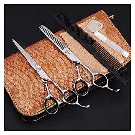 Ciseaux de coupe de cheveux de coiffure à manche flammé de 6,0 pouces, ciseaux de coupe de cheveux de barbier, coupe plate, c