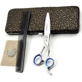 Générique Ciseaux de Coiffure Professionnels 15,2 cm, Ciseaux de Coiffeur de Salon JP 440C Ciseaux de Cheveux tranchants et p