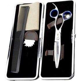 Générique Ciseaux de Coiffure Professionnels 15,2 cm, Ciseaux de Coiffeur de Salon JP 440C Ciseaux de Cheveux tranchants et p