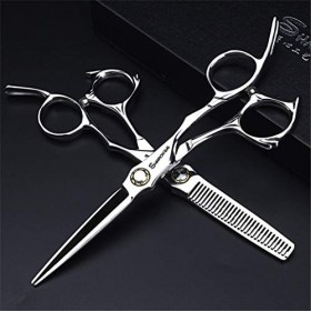 Ciseaux de Coupe Professionnelle Cheveux - Coiffure Dilution Cisailles 5.5,6.0 Pouces Haut de Gamme Barber Salon Argent Set 4