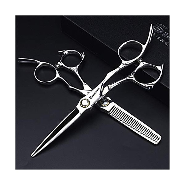 Ciseaux de Coupe Professionnelle Cheveux - Coiffure Dilution Cisailles 5.5,6.0 Pouces Haut de Gamme Barber Salon Argent Set 4