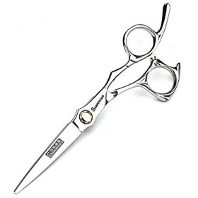 Ciseaux De Coupe De Cheveux Professionnel Set, 2 PCS Barber Cheveux Dilution Ciseaux Kit, Salon Ciseaux De Coiffure À Domicil