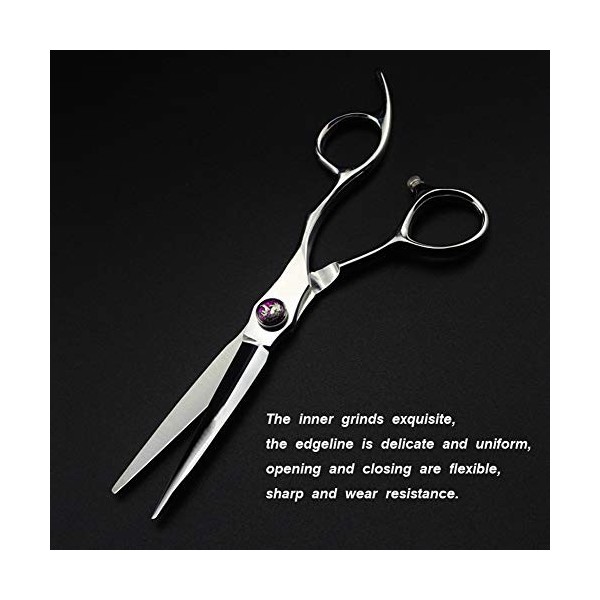 6.0 Pouces En Acier Inoxydable 440c Japonais, Haut De Gamme Coiffeur Ciseaux, Coiffure Professionnels Coiffeur Outils Spéciau