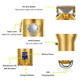 QZH Tondeuse à Barbe pour Hommes, Tondeuse à Cheveux électrique pour Hommes, Tondeuse sans Fil, kit de Coupe de Cheveux Recha