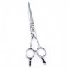 SEESEE.U 6.0 Professional Twin Tail Barber Salon Razor Edge Hair Ciseaux de Coupe et de texturation/mélange, kit de Coiffu