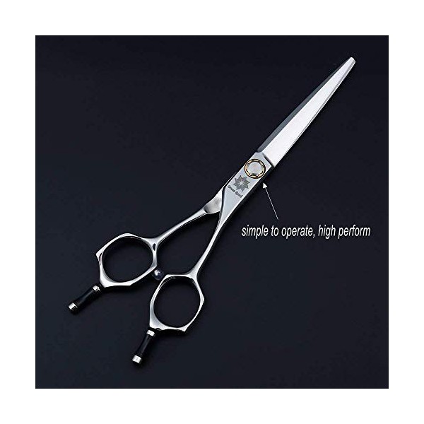 SEESEE.U 6.0 Professional Twin Tail Barber Salon Razor Edge Hair Ciseaux de Coupe et de texturation/mélange, kit de Coiffu