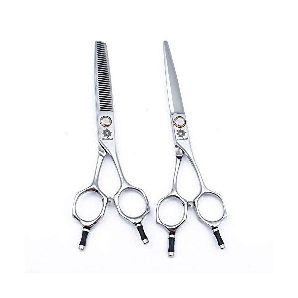 SEESEE.U 6.0 Professional Twin Tail Barber Salon Razor Edge Hair Cutting and Texturizing/Blending Cisors Set, Hairdressing