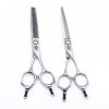 SEESEE.U 6.0 Professional Twin Tail Barber Salon Razor Edge Hair Cutting and Texturizing/Blending Cisors Set, Hairdressing