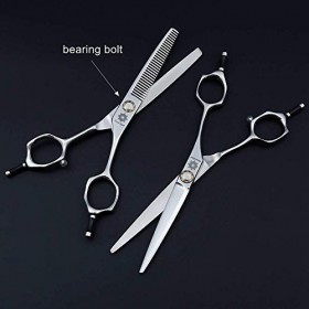 SEESEE.U 6.0 Professional Twin Tail Barber Salon Razor Edge Hair Cutting and Texturizing/Blending Cisors Set, Hairdressing