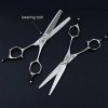 SEESEE.U 6.0 Professional Twin Tail Barber Salon Razor Edge Hair Cutting and Texturizing/Blending Cisors Set, Hairdressing