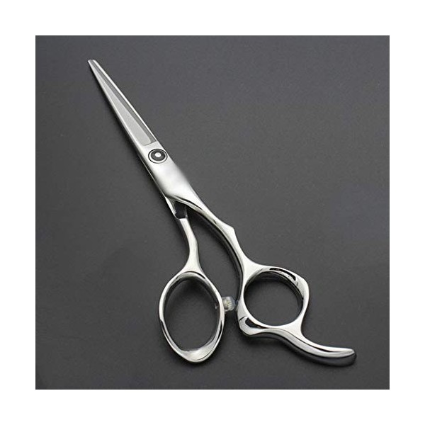 Strumenti per taglio dei capelli, Ensemble de coiffure professionnel de 5,5 pouces pour ciseaux plats et dentaires, Ciseaux d