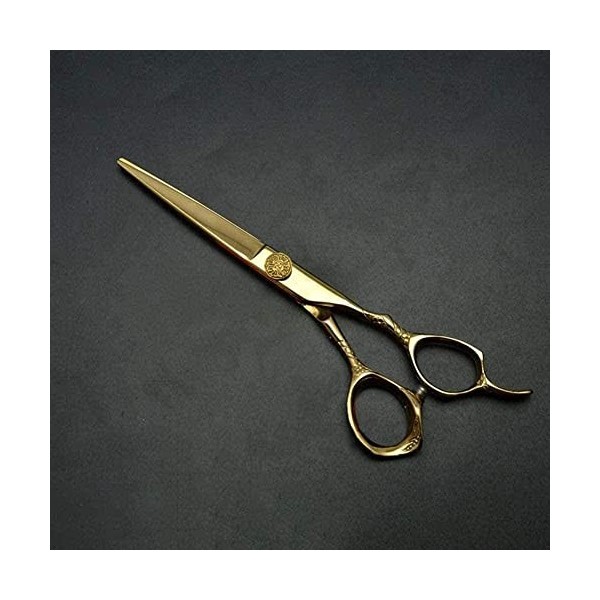 Ciseaux de coiffeur Ciseaux de coiffure professionnels Ciseaux à deux queues de coupe de cheveux-6.0_ Salon de coiffure ou us