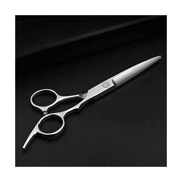 Ciseaux de coiffeur 6,0 pouces Ciseaux de coiffure Salon de coiffure Famille Ciseaux Ensemble Plat + Dent Ciseaux Ensemble Co