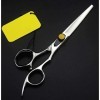 Haute qualité professionnel 6.0 pouces japon 9cr13 amincissant cisailles coupe barbier coupe cheveux ciseaux ensemble maquill