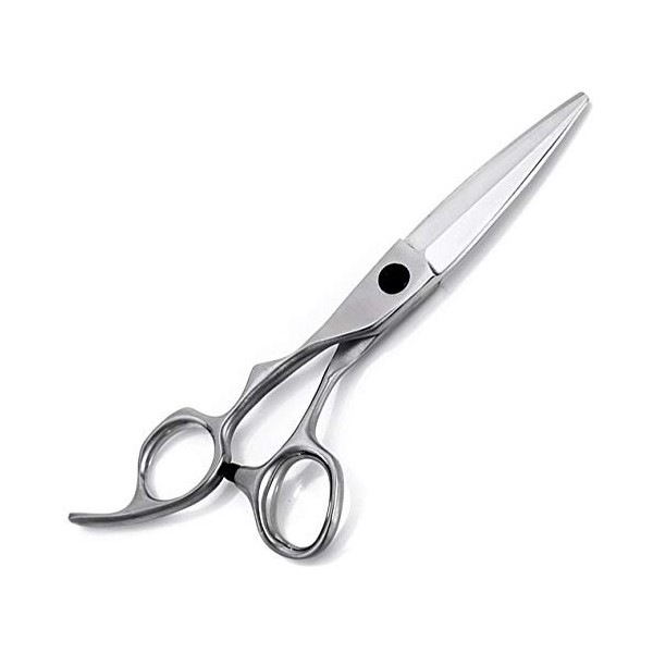 Ciseaux de coiffure Série pour gauchers Coupe nette et précise Coupe de cheveux à gauche Ciseaux de coiffeur Kit doutils de 