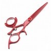 Cheveux Ciseaux Coie de coiffure Ensemble de coiffé coiffé coiffeur Scissor 440C Salon de coiffure Cisaille de cisaillement O