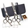 Or Professional Hair Stylist 6.0 Pouces Haut de Gamme Ciseaux de Coiffure poignée Retro Set Barber Scissor Texture Dilution C