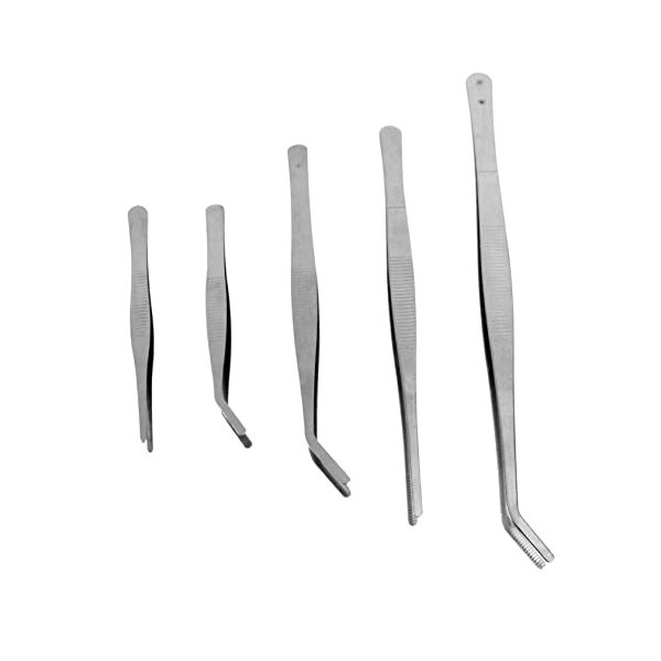 Pincettes dextension de cils de beauté, 5 pièces, pincettes de jardinage, pincettes alimentaires, coupe-ongles, kit doutils