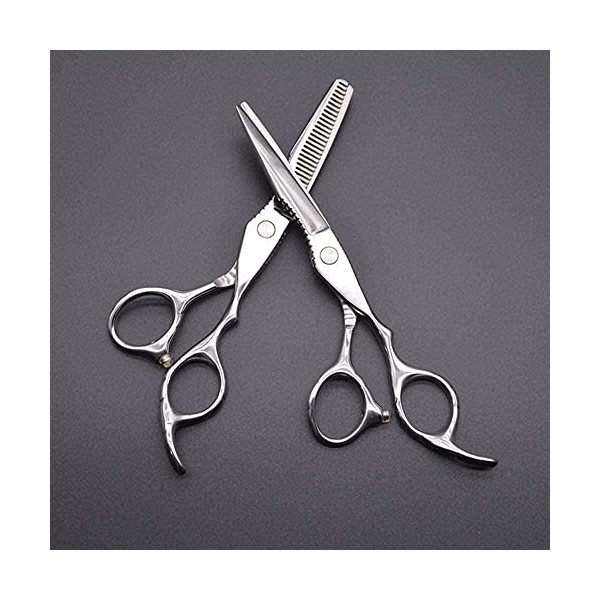 Ciseaux De Coiffure Professionnels Argentés 15,2 Cm Motif Exquis Salon Barbiers Ou Usage Domestique