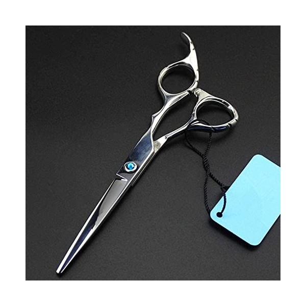 Professionnel 6 pouces coupe Salon de coiffure ciseaux ensemble coupe ciseaux de cheveux de coiffeur ciseaux amincissants cis