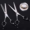 Professionnel Barber Ciseaux De Coiffure Set 6.0 Pouces Coiffeur 440C Ciseaux Rhéofluidifiant Dents Plates Droites Ciseaux Sa