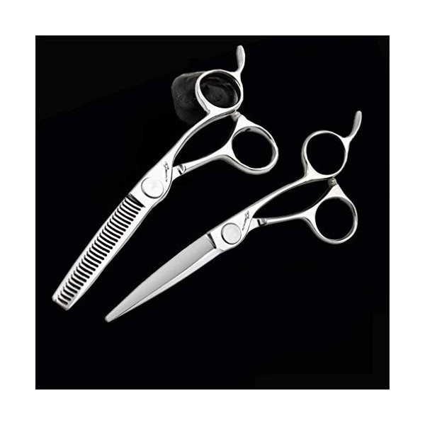 LBYB Ciseaux Cheveux Set, 6 Pouces Tondeuse 440C Ciseaux Cheveux en Acier Inoxydable Set, Barbers Ou Home Use, Lumière Et Sha